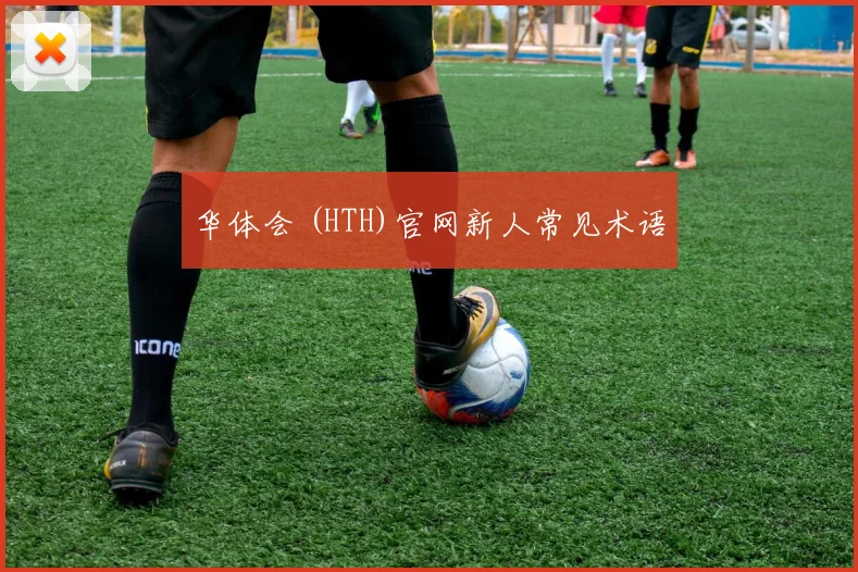 华体会 (HTH)官网新人常见术语