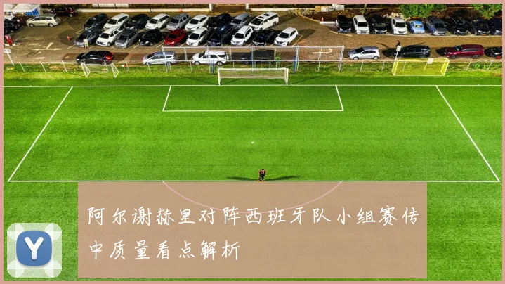 阿尔谢赫里对阵西班牙队小组赛传中质量看点解析