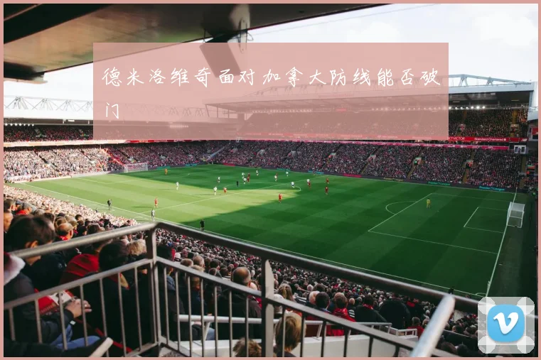德米洛维奇面对加拿大防线能否破门
