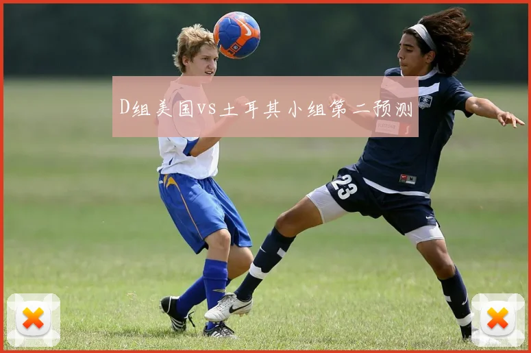 D组美国vs土耳其小组第二预测