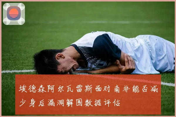 埃德森阿尔瓦雷斯面对南非能否减少身后漏洞解围数据评估