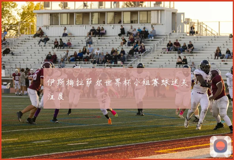 伊斯梅拉萨尔世界杯小组赛球迷关注度