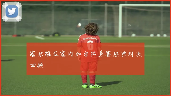 塞尔维亚塞内加尔热身赛经典对决回顾